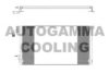 AUTOGAMMA 102625 Condenser, air conditioning